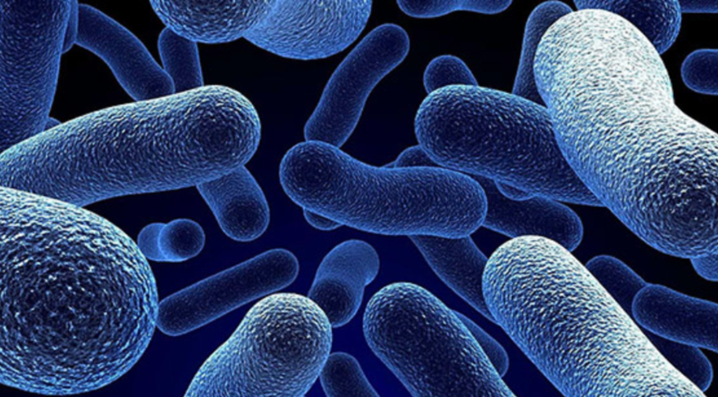 Postbiotics – The Latest Breakthrough in Gut Health