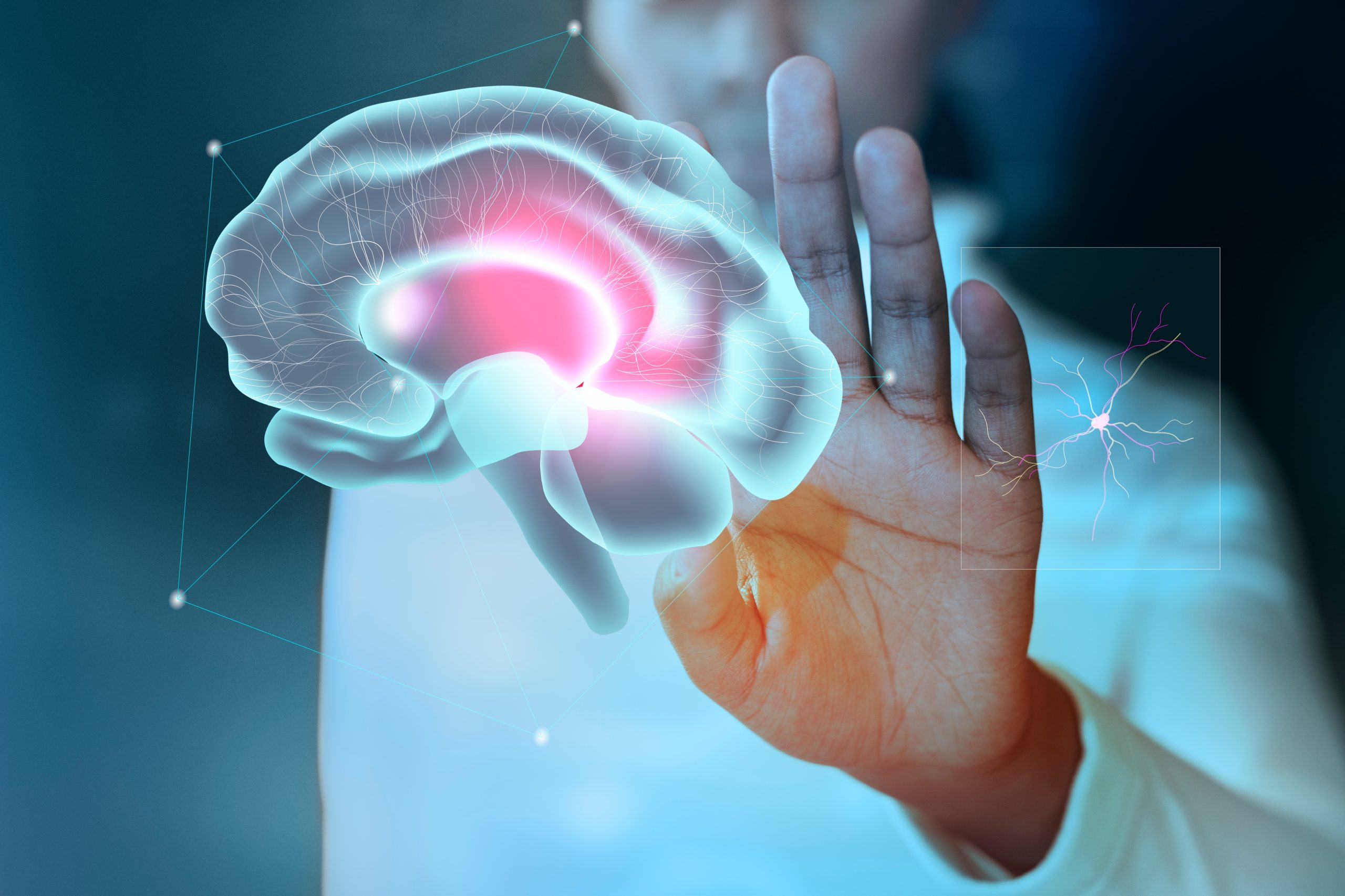 Probiotics vs Cognitive Decline: Gut Health Key to Aging Brain Fitness