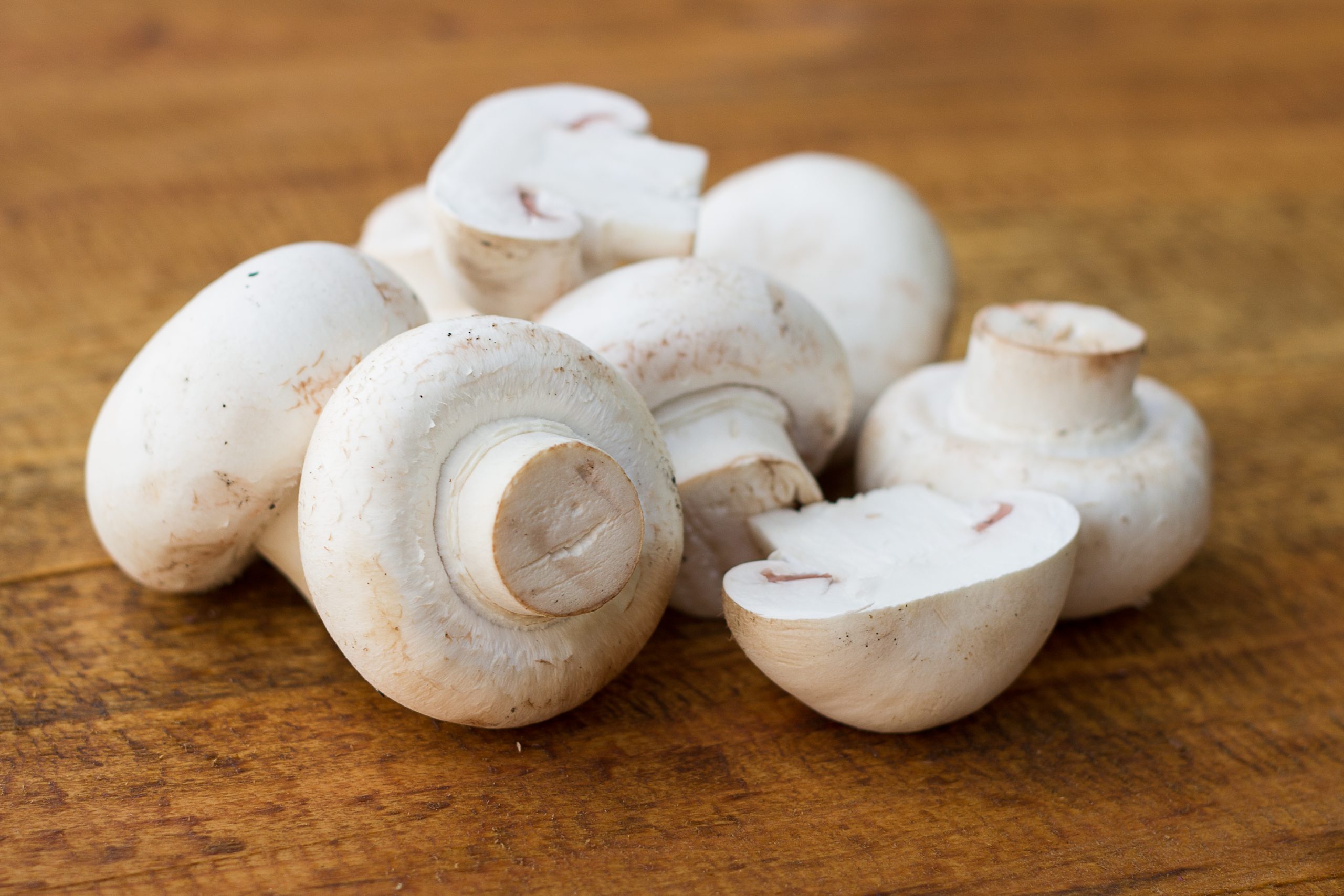 Natural compound in white button mushrooms could benefit animal, human health