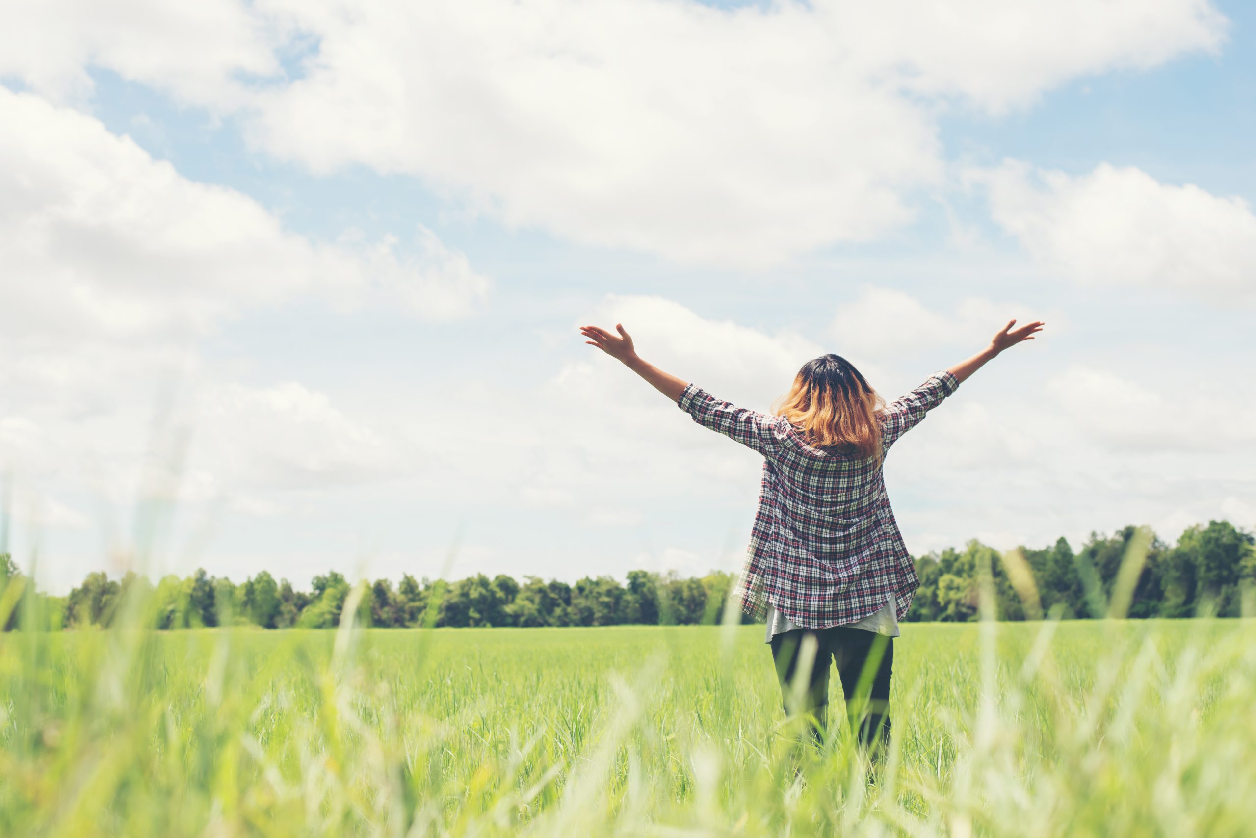 One Lifestyle Change Might Work Better Than Probiotics