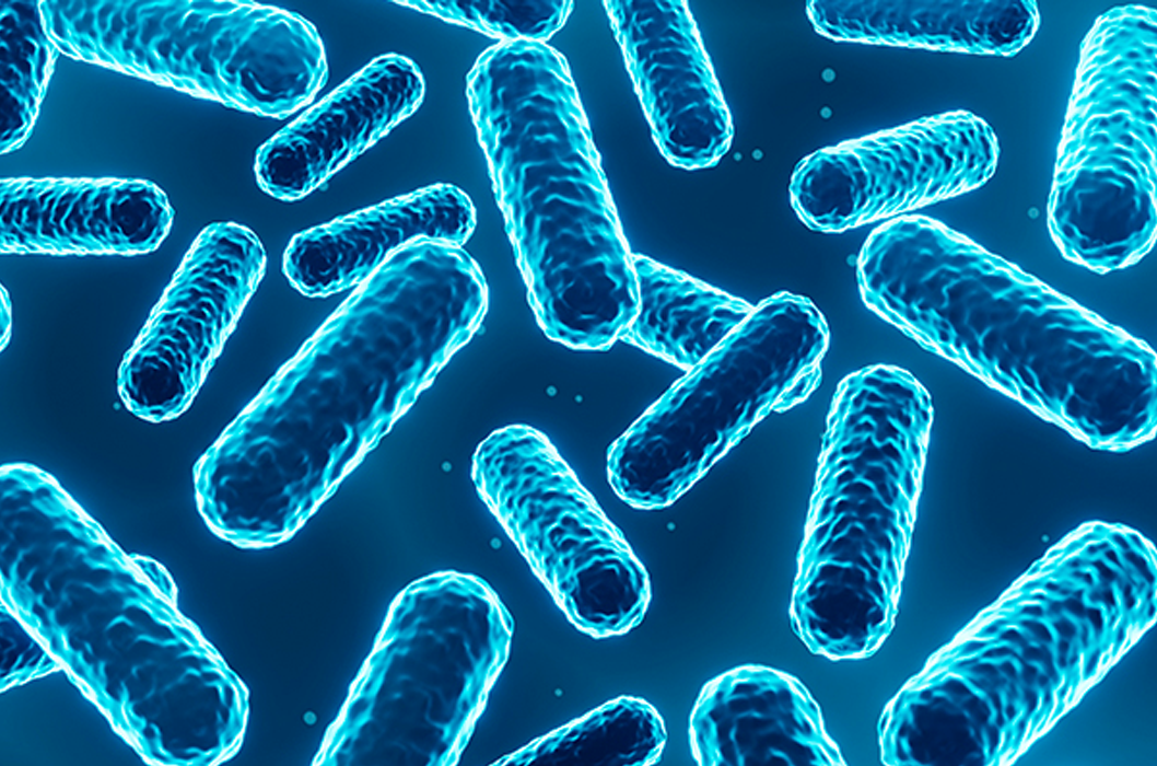 Experimental Probiotic Uses Microbes to Treat Multiple Sclerosis in Mice