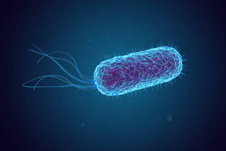 A Practical Guide to the Microbiome for Gastroenterologists