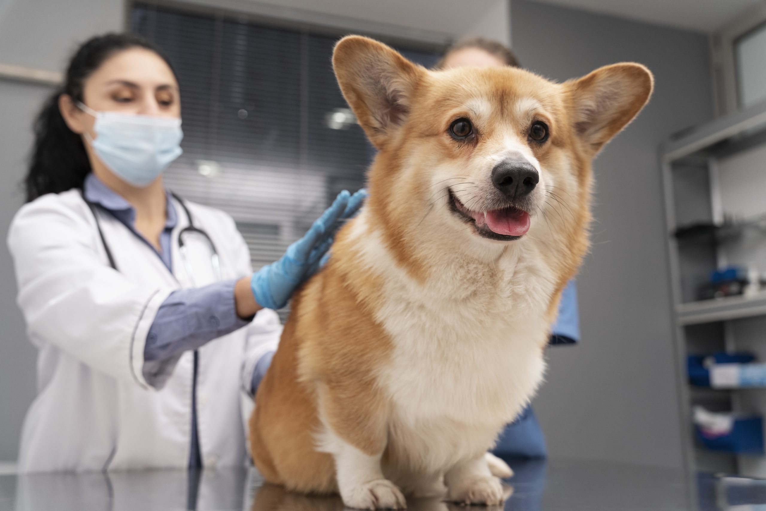 Exploring the Pet Food Revolution: How Biotics Are Transforming Your Pet’s Health