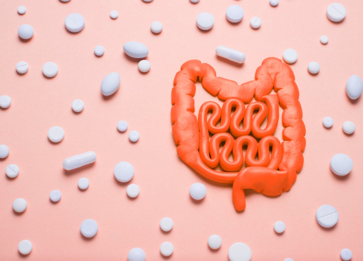 Do all types of probiotics have the same function?