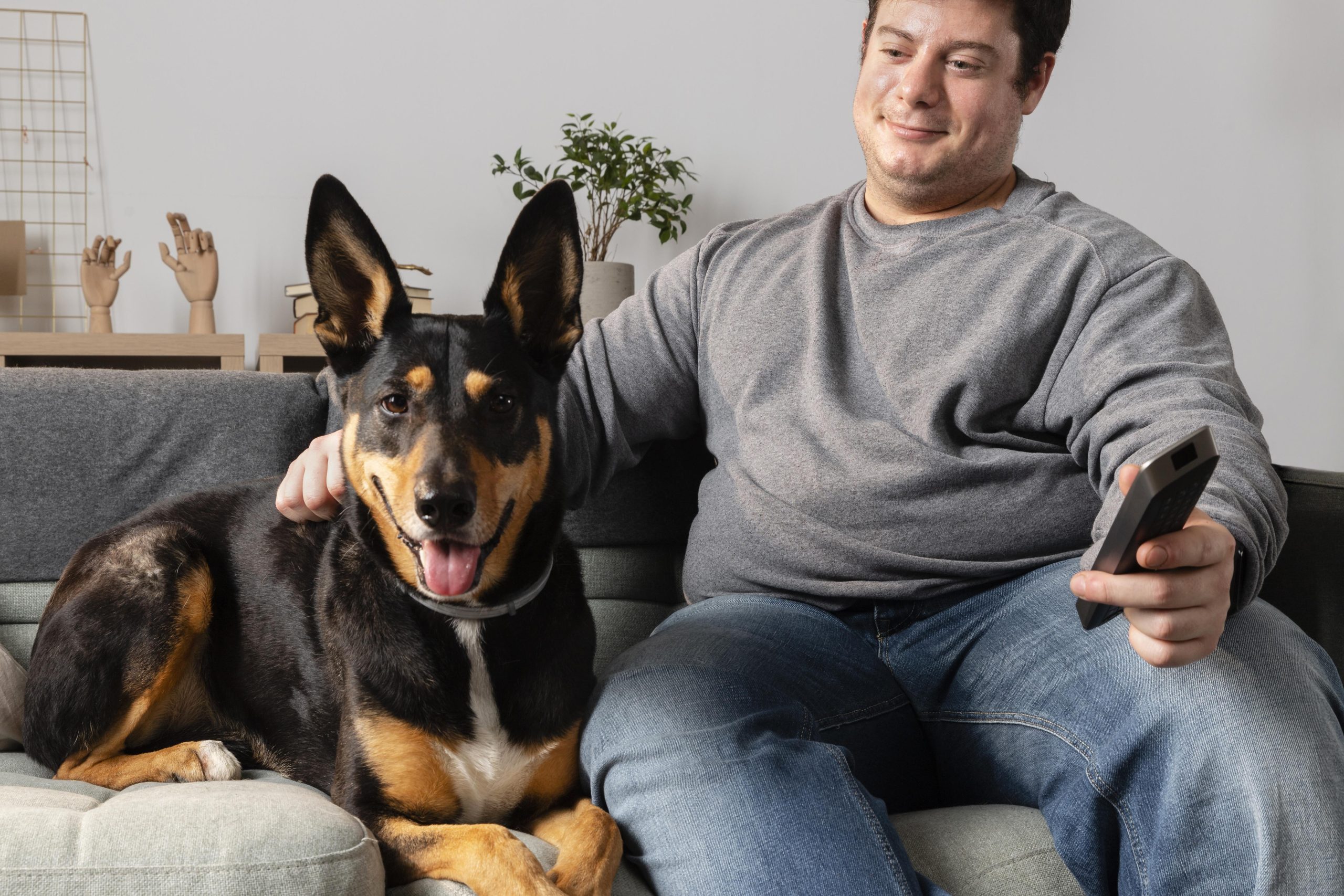 Probiotics for Pooches: New Strains Help Obese Dogs Shed Pounds Safely