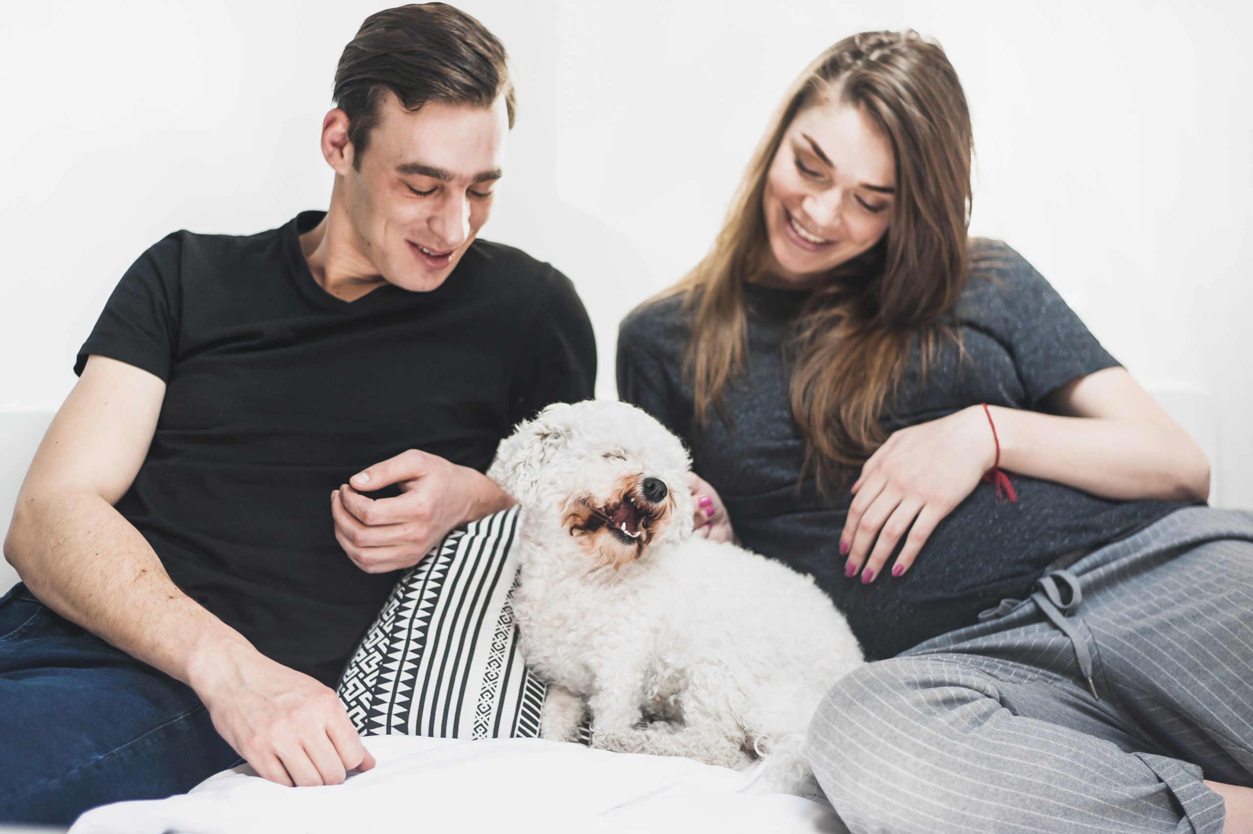 Pet Probiotics Boom: How Pet Owners Are Embracing Gut Health Trends