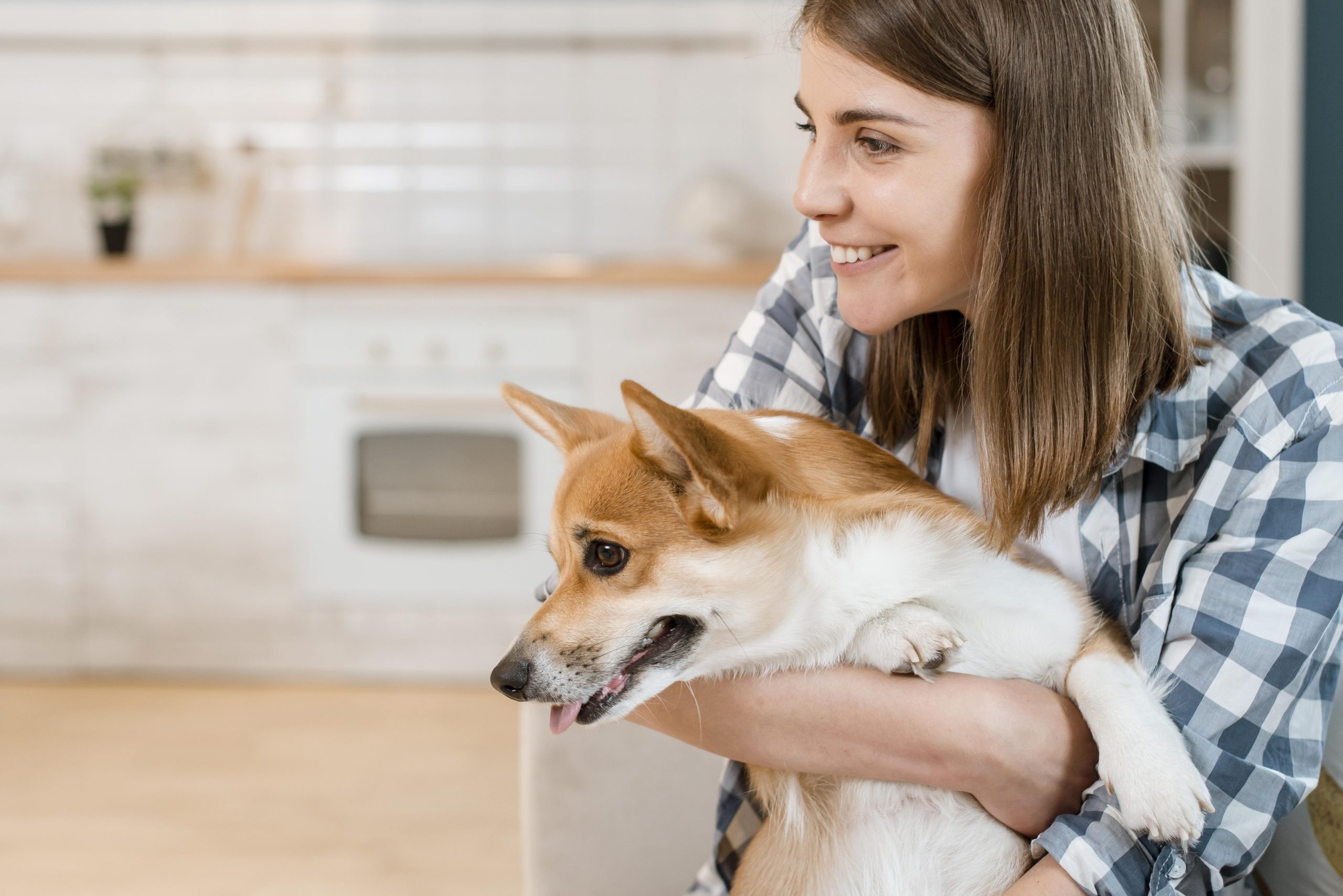 The Ultimate Guide to Probiotics for Dogs and Their Benefits